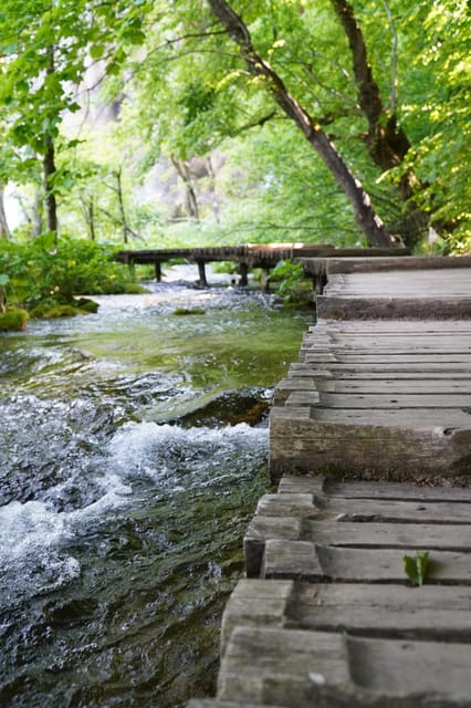 From Split: Private Guided Tour to Plitvice - Natural Wonders