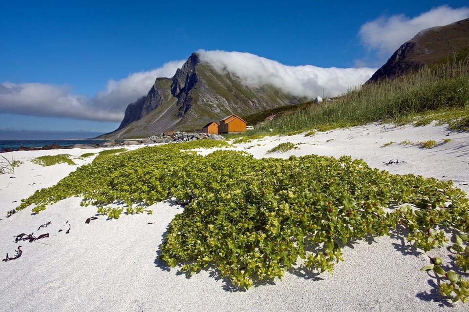 From Svolvær: Reine & Å Lofoten West Island Full Day Tour - Important Information