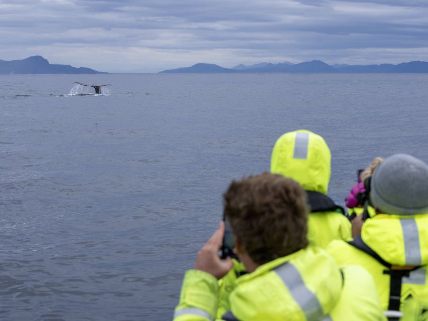 From Svolvær: Whale Watching Day Trip to Andenes - Amenities Onboard