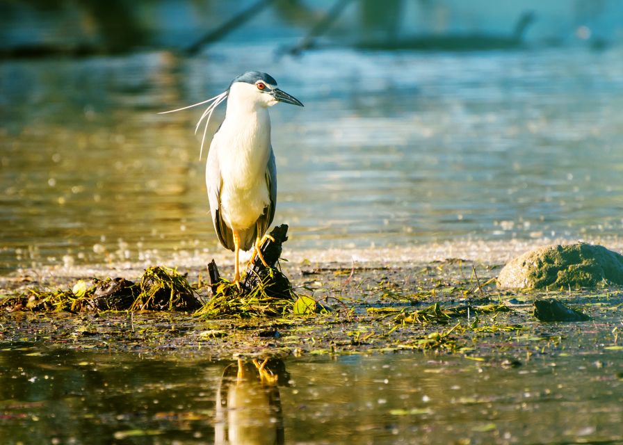 From Thessaloniki: Private Day Trip to Kerkini Lake - Inclusions and Exclusions