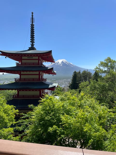 From Tokyo: Mount Fuji Day Trip With English Speaking Driver - Important Information