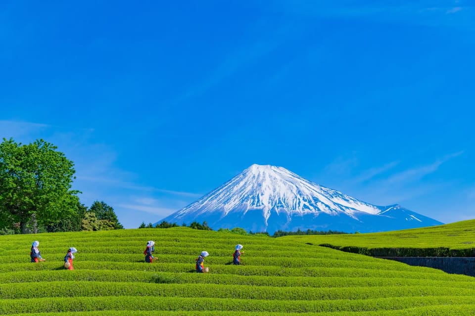 From Tokyo: Mount Fuji Highlight Photo Spots Full-Day Tour - Customer Feedback