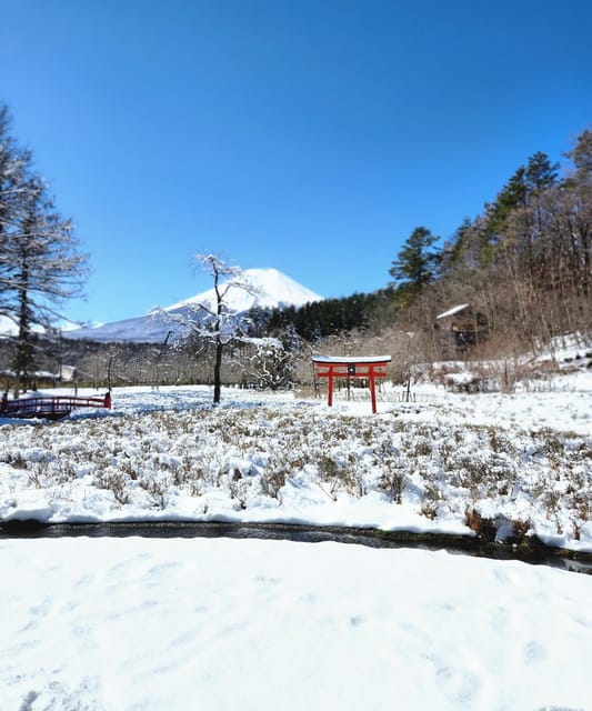 From Tokyo: Mount Fuji Private Tour With Driver - Customer Experience