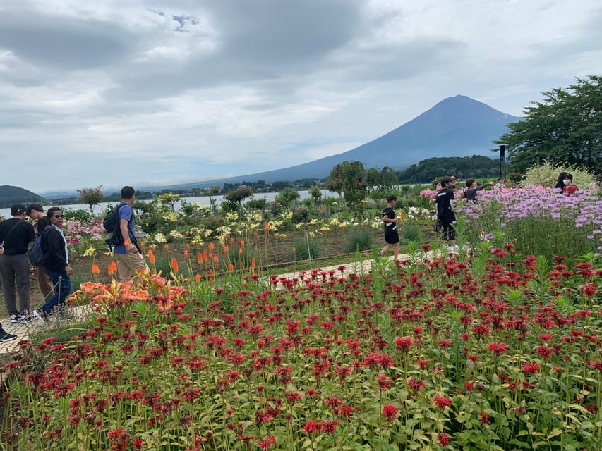 From Tokyo: Mount Fuji Sightseeing Private Group Tour - Important Information to Know