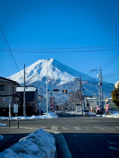 From Tokyo: Mt Fuji and Lake Kawaguchiko Private Day Trip - Booking Process and Options