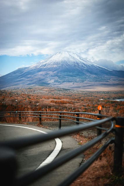 From Tokyo: Mt. Fuji or Hakone Private Sightseeing Day Trip - Important Information