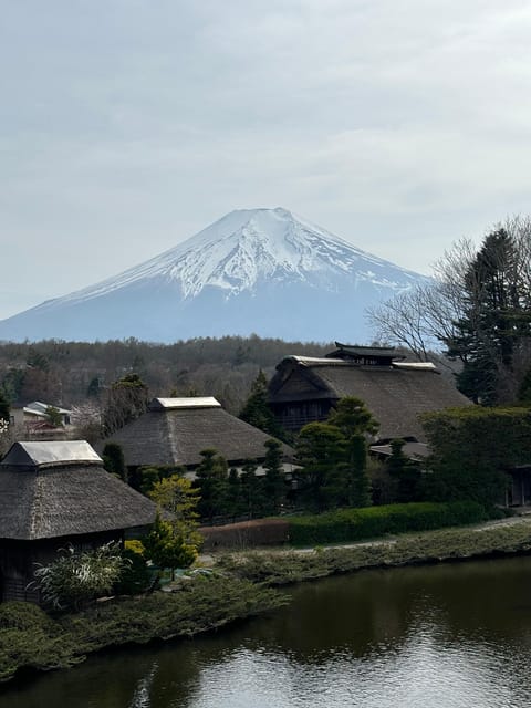 From Tokyo: Mt. Fuji Private Car Day Trip With Guide - Important Information