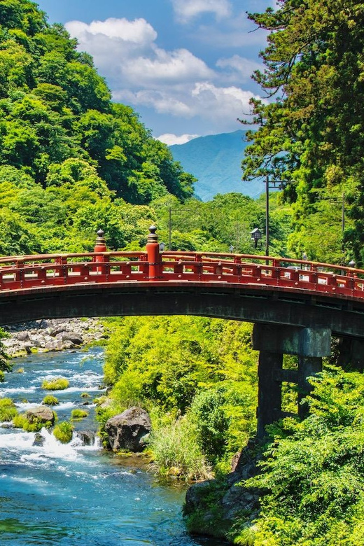 From Tokyo : Nikko Full Day Private Sightseeing Tour - Accessibility Features