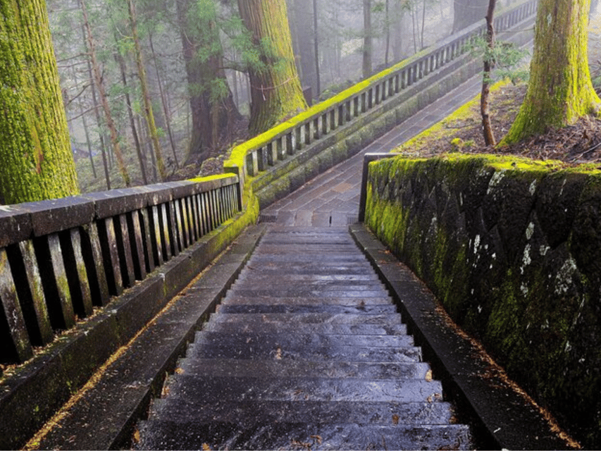 From Tokyo : Nikko Full Day Private Sightseeing Tour - What to Bring