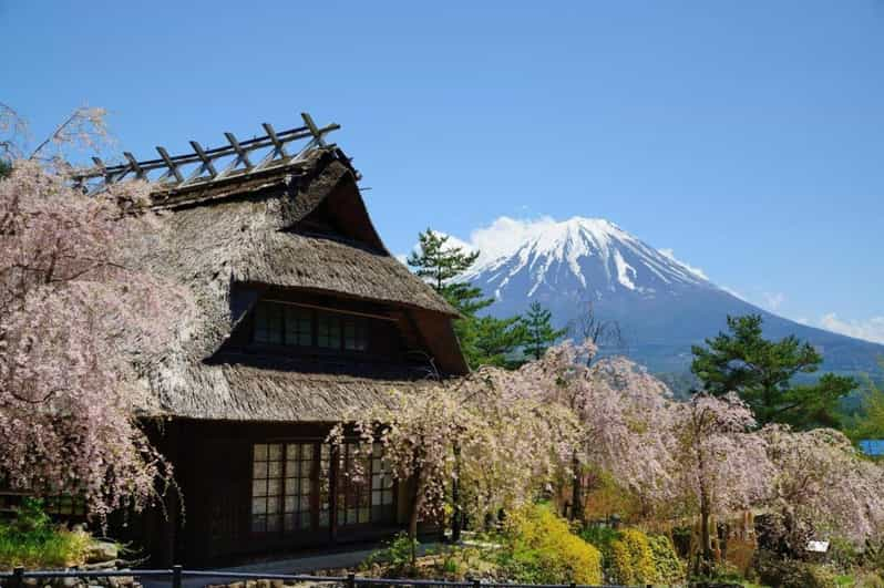 From Tokyo, Yokohama: Mount Fuji Sightseeing Trip - Mt. Fuji 5th Station