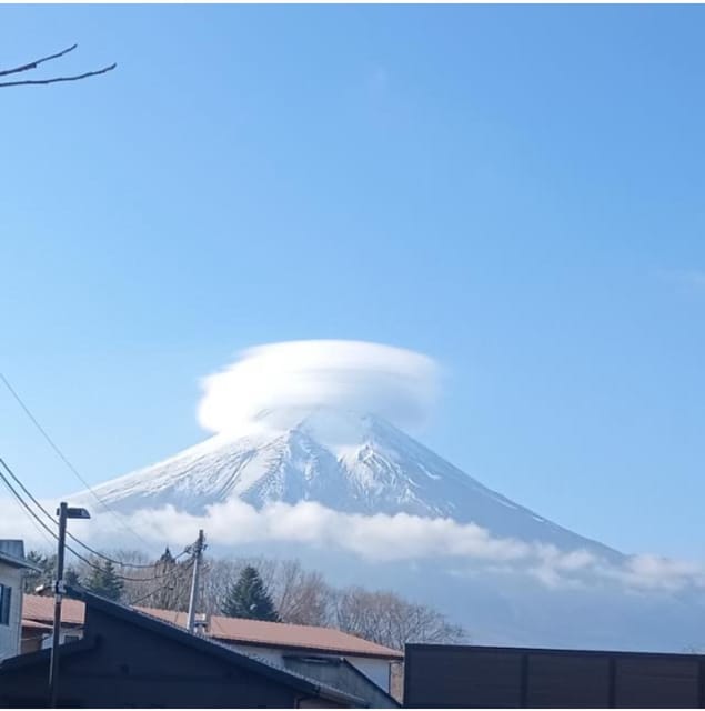 From Tokyo/ Yokohama: Private Day Trip To Mt. Fuji/Hakone - Customer Experiences