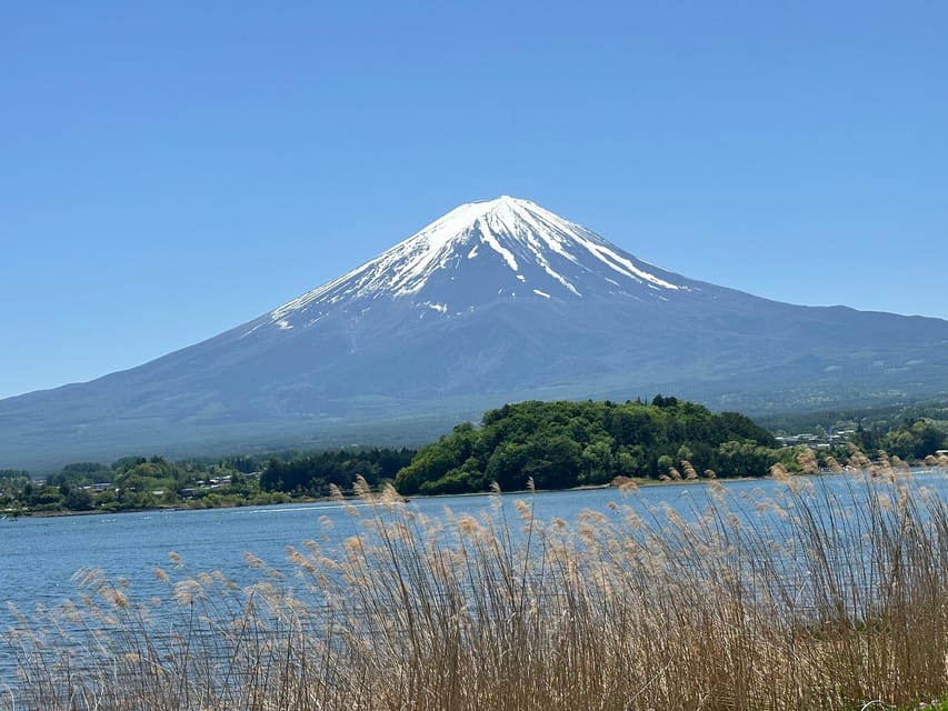 From Tokyo&Yokohama:M.Fuji Day Trip With Eng Speaking Driver - Booking Process