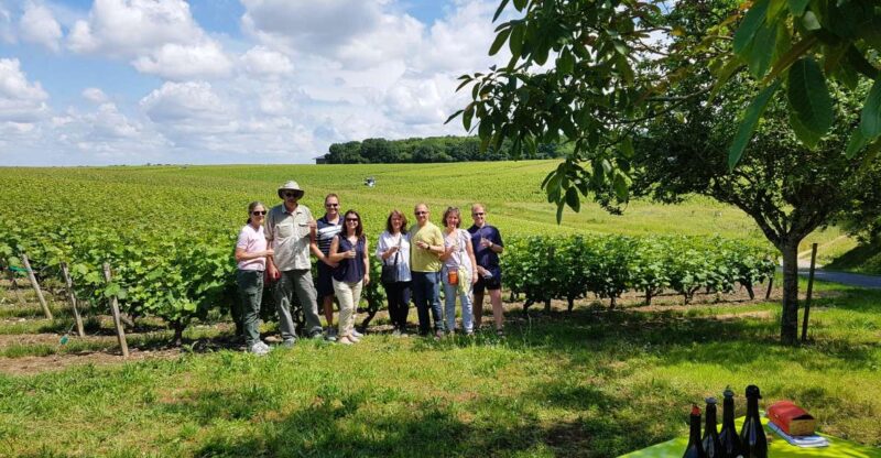 From Tours: Afternoon Loire Valley Wine Tour to Vouvray - What to Expect