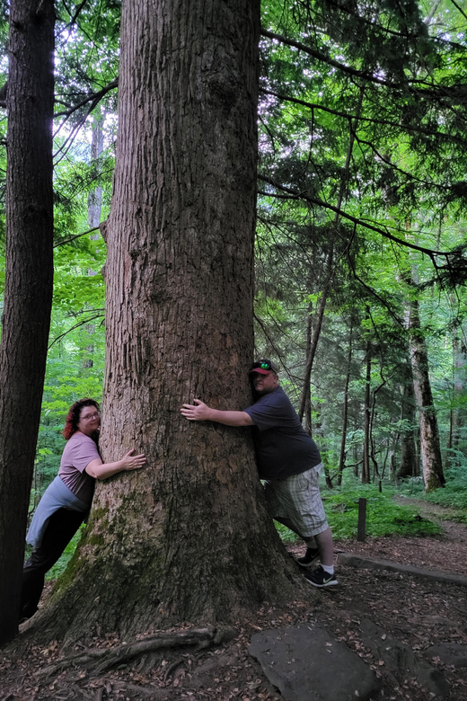 From Townsend: Great Smoky Mountains National Park Hiking - Townsend Entrance