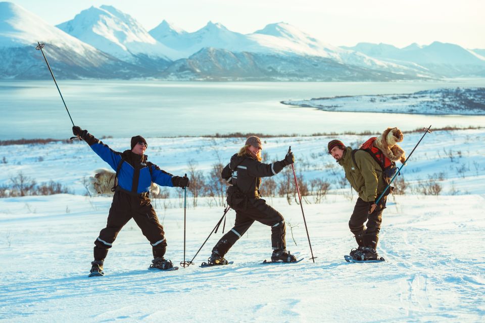 From Tromsø: Guided Husky Snowshoe Hike and Husky Camp Visit - Wildlife Encounters With Huskies