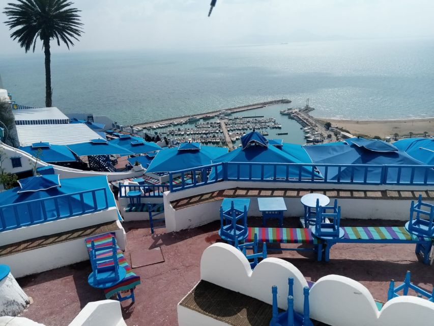 From Tunis: Half-Day Tour to Carthage and Sidi Bou Said - Pricing and Inclusions