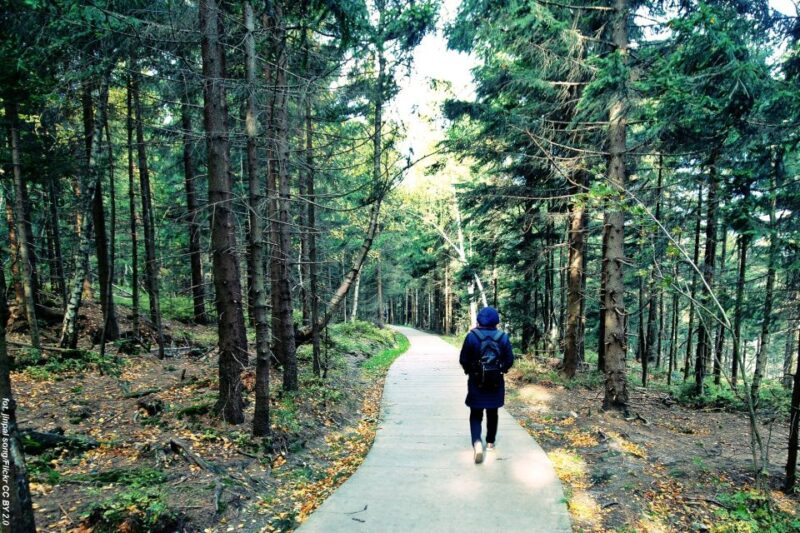 From Wroclaw: Full-Day Stolowe Mountains Trekking Tour - Customer Reviews