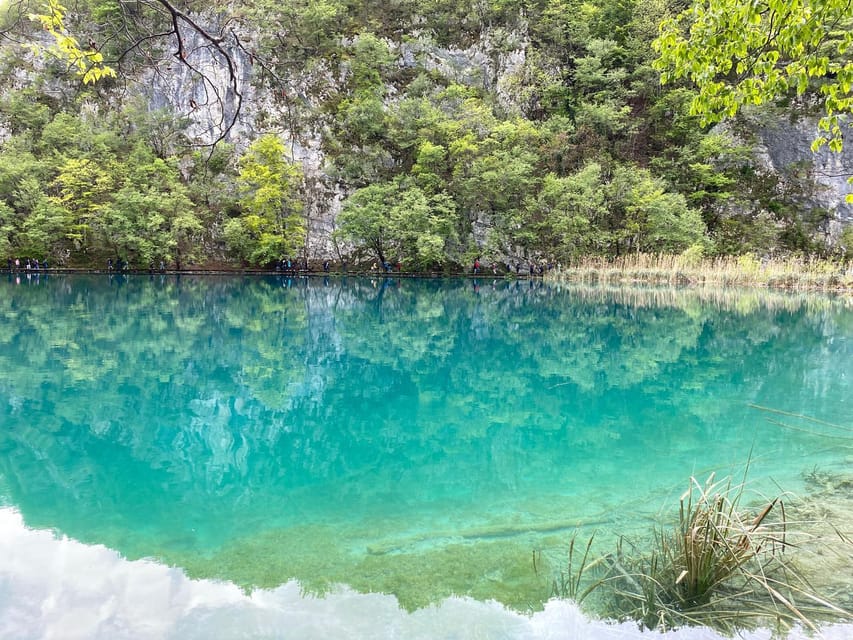 From Zadar: Plitvice Lakes Day Tour - Customer Feedback Highlights