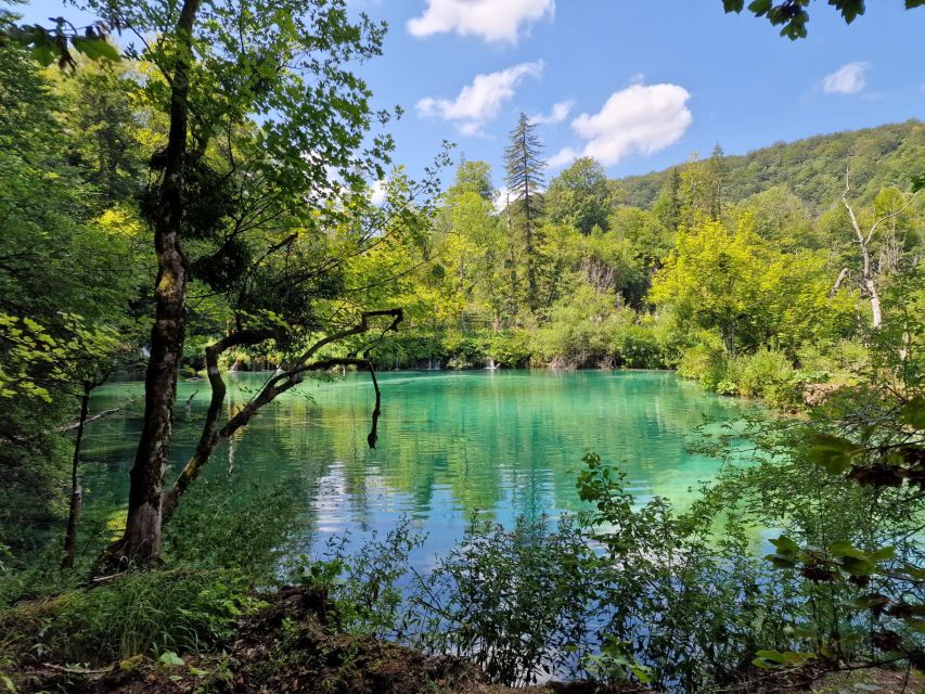 From Zadar: Plitvice Lakes Day Trip With Panoramic Boat Ride - Ticket Pricing