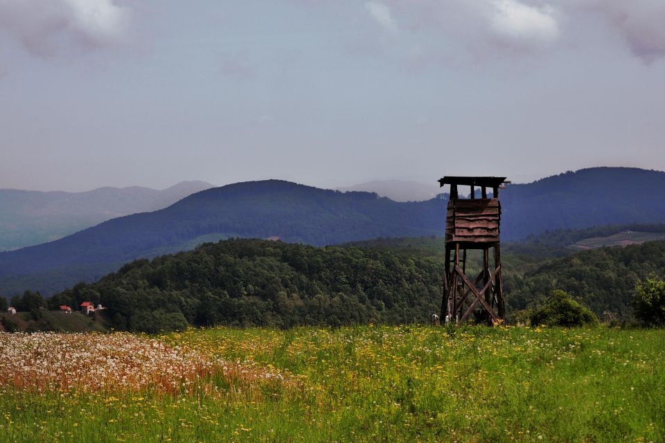 From Zagreb: Samobor & Plesivica Wine Road, Private - Tour Duration and Cancellation Policy