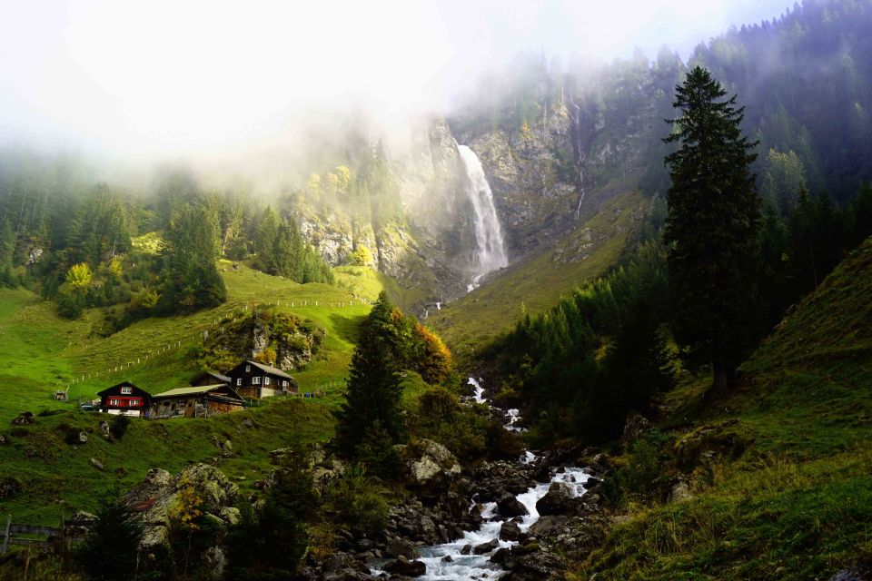 From Zurich: Swiss Natural Wonders Private Tour With Lunch - Requirements for Participants