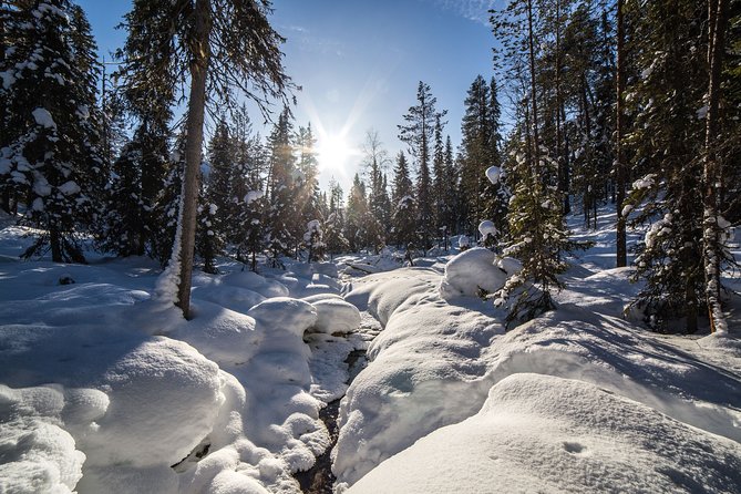 Frozen Waterfalls in Korouoma Canyon Adventure - Pricing and Cancellation Policy