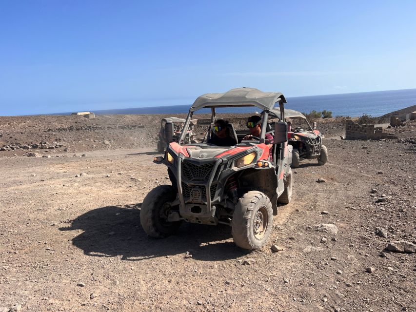 Fuerteventura: Buggy Tour in the South of the Island - Customer Insights