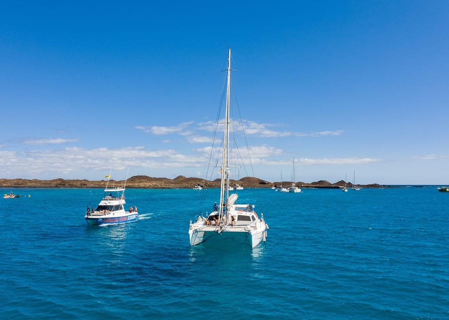 Fuerteventura: Catamaran Excursion to Lobos Island - Participant Information