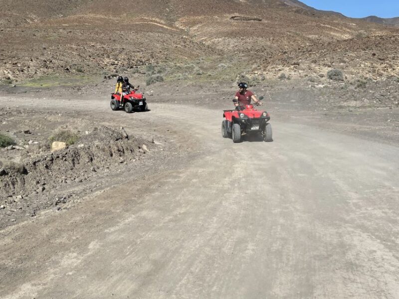 Fuerteventura: Jandía Natural Park & The Puertito Quad Tour - Customer Feedback