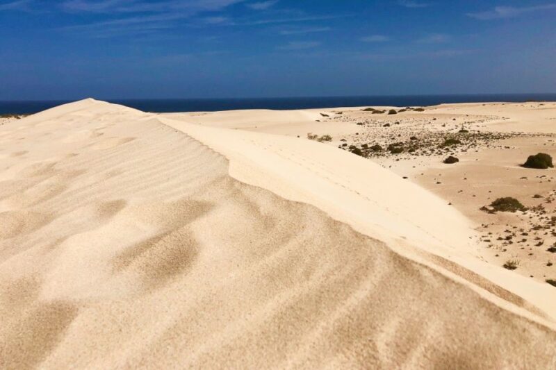 Fuerteventura North Full-Day Tour - Customer Feedback and Ratings