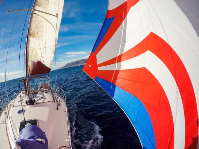 Fuerteventura: Sailing With Snorkeling and Dolphin Watching - Customer Reviews