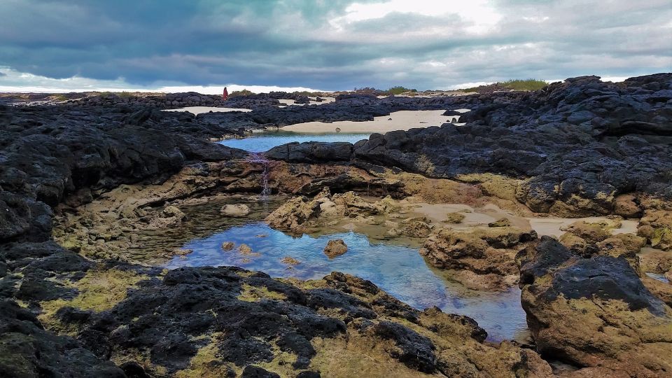 Fuerteventura: Trekking Tour Through the North of the Island - Frequently Asked Questions