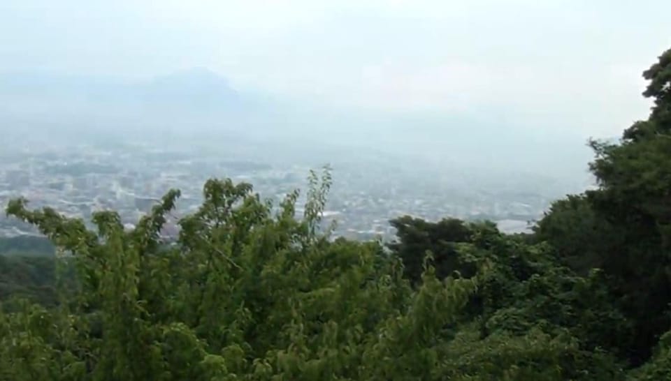 FUKUOKA : MOUNT TENPAI TREKKING TOUR - Health Benefits