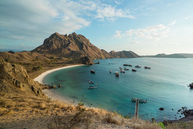 Full-Day Adventure Tour to Komodo Island With Join Speed Boat Tur - Wildlife Encounter Opportunities