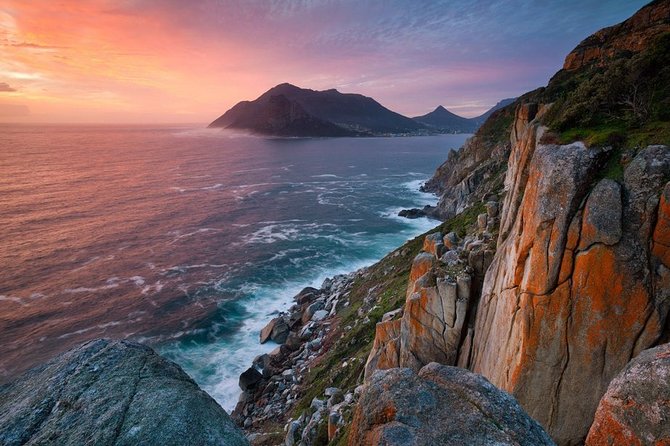 FULL Day Cape of Good Hope and Boulders Penguin Colony - Boulders Penguin Colony