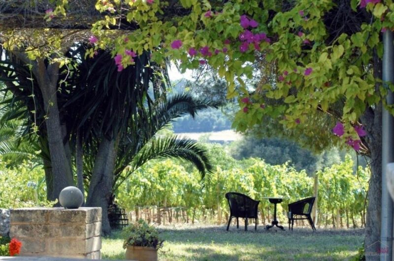 Full Day Colchagua Private Luxury 3 Wineries - Booking Process