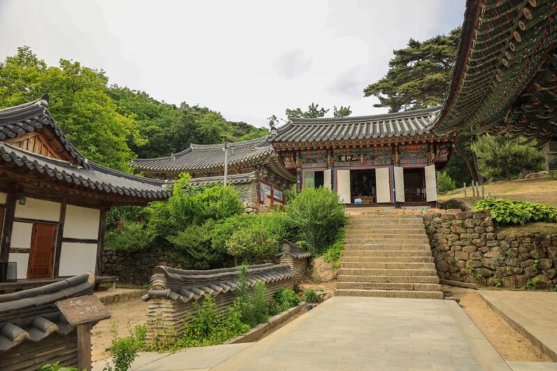 Full-Day Daegu Tour: Cultural Charms & Scenic Views - Daegu Modern History Street & Danpatppang Main