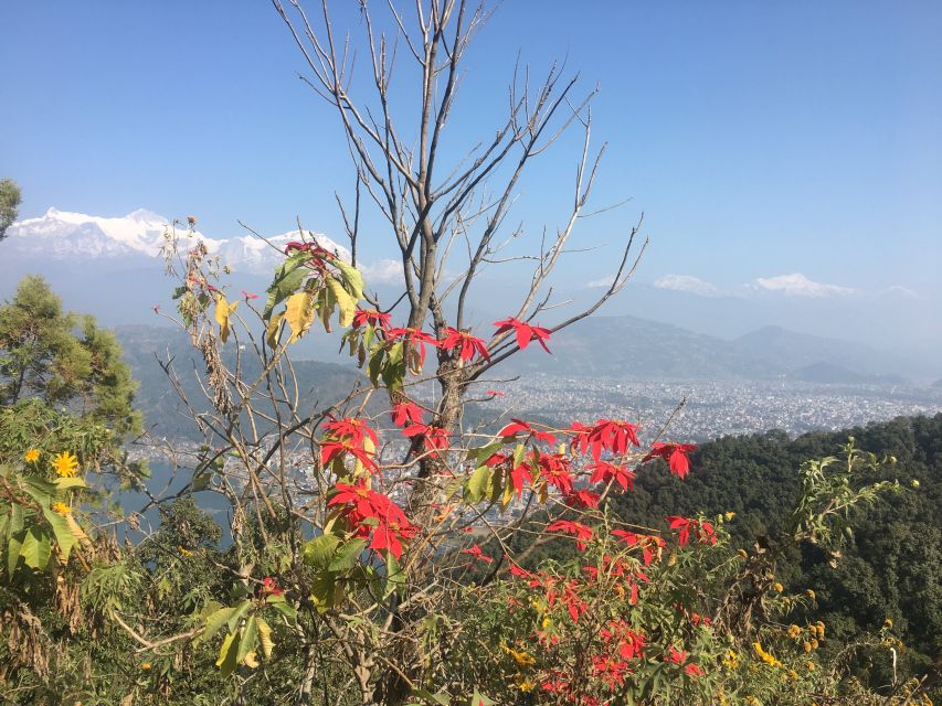 Full Day Guided Pokhara City Tour by Private Car - Restrictions and Guidelines