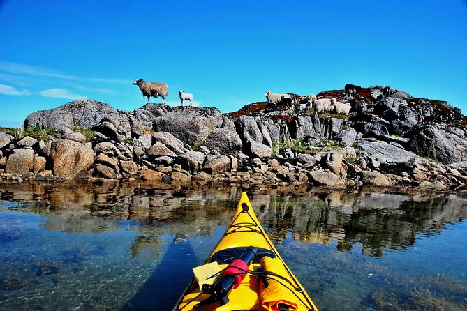 Full Day Kayak-Northern Explorer - Meeting Point and Schedule