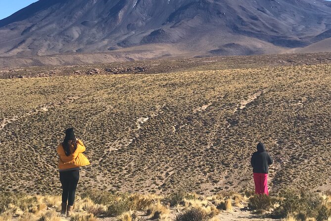 Full Day Tour to the Salar Route - Recommended for Travelers