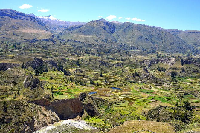 Full Day Trip to Colca Canyon From Arequipa - Condor Viewing