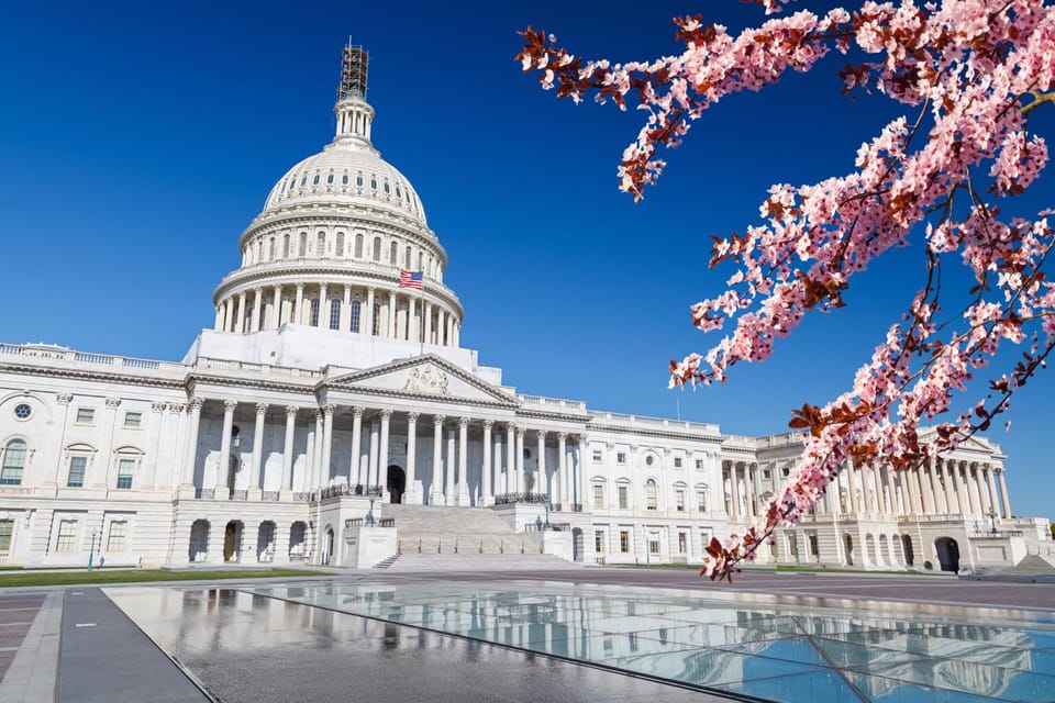 Full Day Washington DC & Mount Vernon Tour - Meeting Point Details