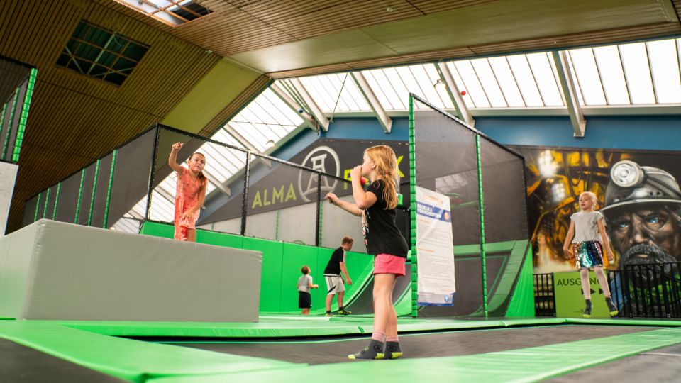 Gelsenkirchen: Alma Park Trampoline Area Admission - Booking and Availability Information