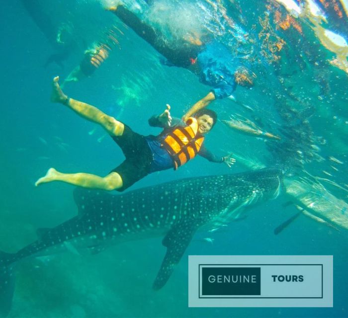 Genuine Tours - OSLOB Snorkeling - Safety and Responsibility