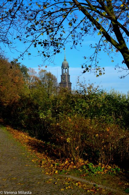 German Hamburg Historic City Center Pay-What-You-Want Tour - Accessibility Features