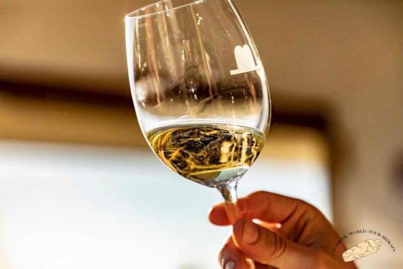 Getaria Txakoli Wine Tour From San Sebastian - Participant Information