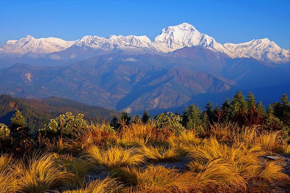 Ghorepani Poon Hill Trek - Annapurna Sunrise Trek - Best Seasons to Trek