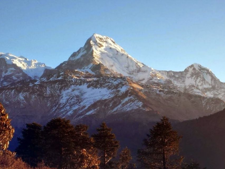 Ghorepani Poonhill Family Tour 5 Days - Frequently Asked Questions