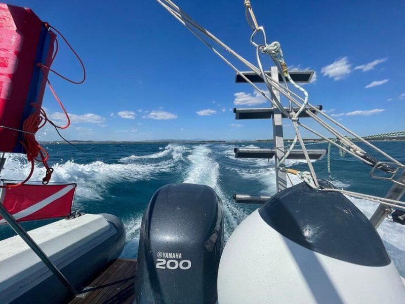 Giglio Island (Tuscania): Tour and Snorkelling on a Dinghy - Customer Ratings and Reviews