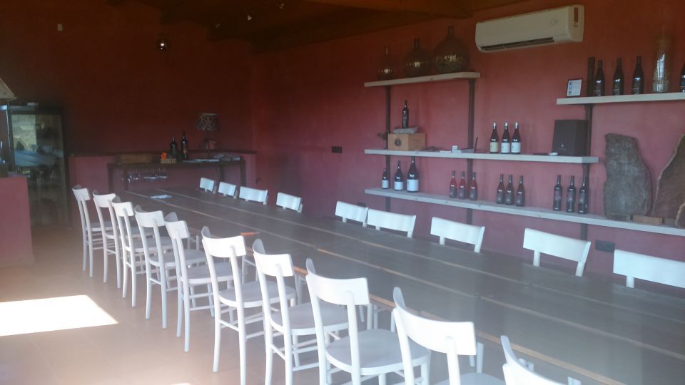 Girona: Local Wineries Tour With Breakfast and Wine Tasting - Customer Feedback